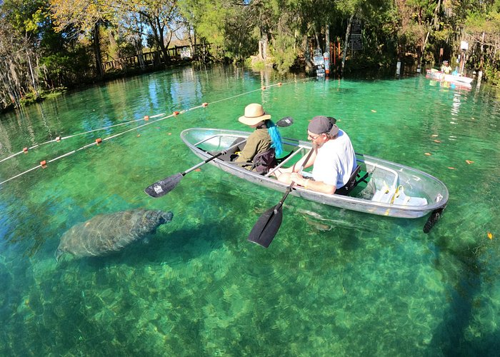 Crystal River, Florida vacation