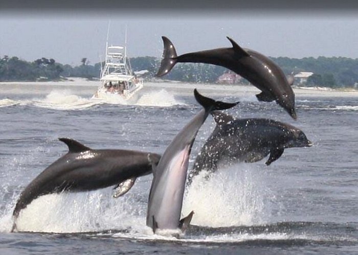 Panama City