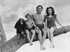Tarzan- First Coast Travel